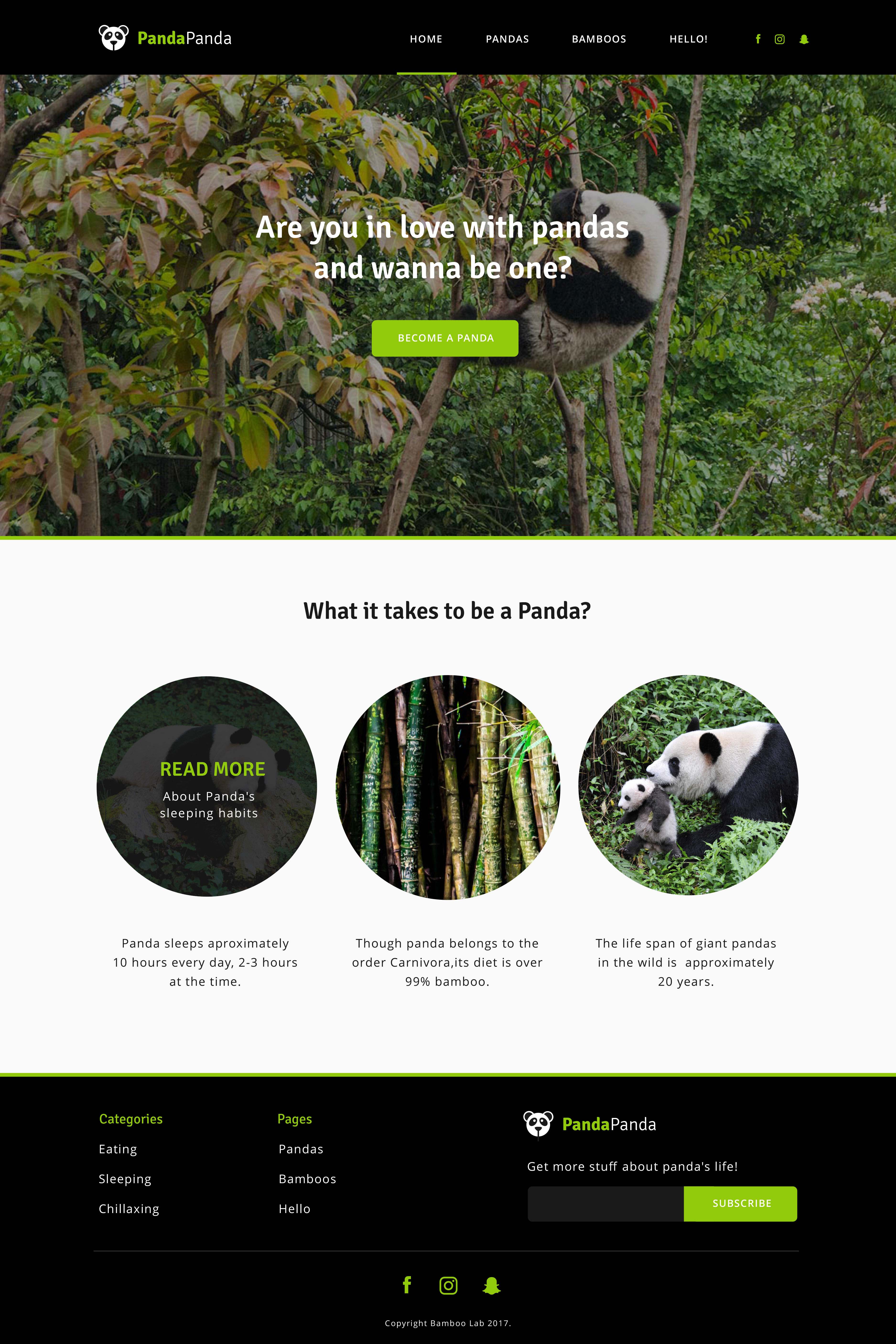 Simple Panda Website Mockup